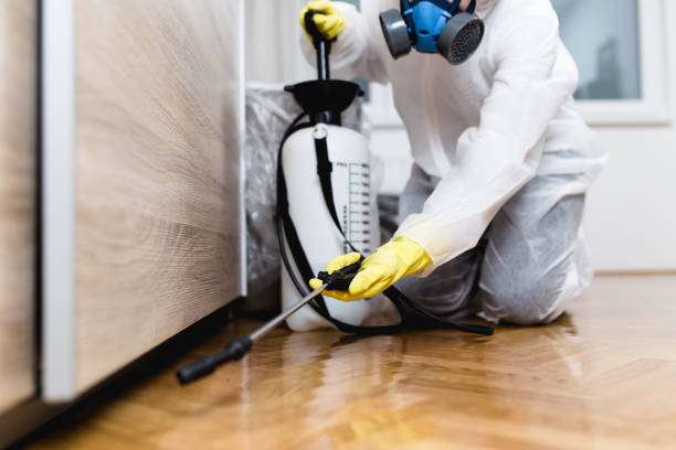 Pest Prevention Services in Rockford, MN