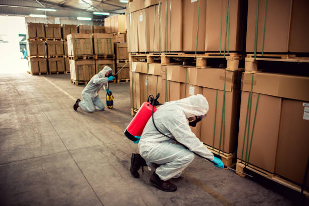 Best Pest Removal Services  in Rockford, MN