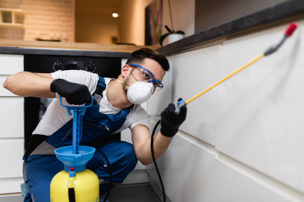 Best Affordable Pest Control Services  in Rockford, MN