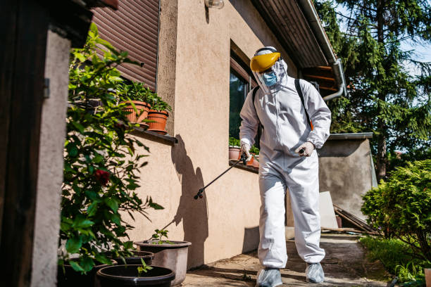 Wildlife Control Services in Rockford, MN