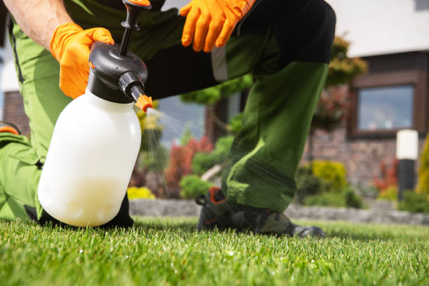 Best Wasp Removal Services  in Rockford, MN