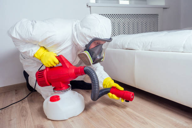 Pest Prevention Services in Rockford, MN