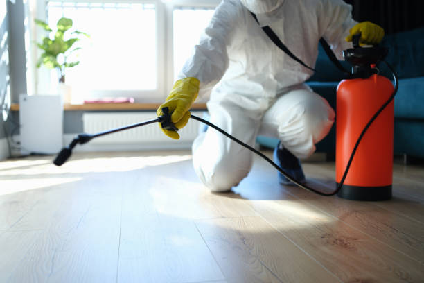 Trusted Rockford, MN Pest Control Experts