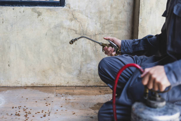 Best Emergency Pest Control  in Rockford, MN